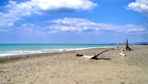 Seaside Apartment - Tuscany - Marina di Bibbona Riviera degli Etruschi